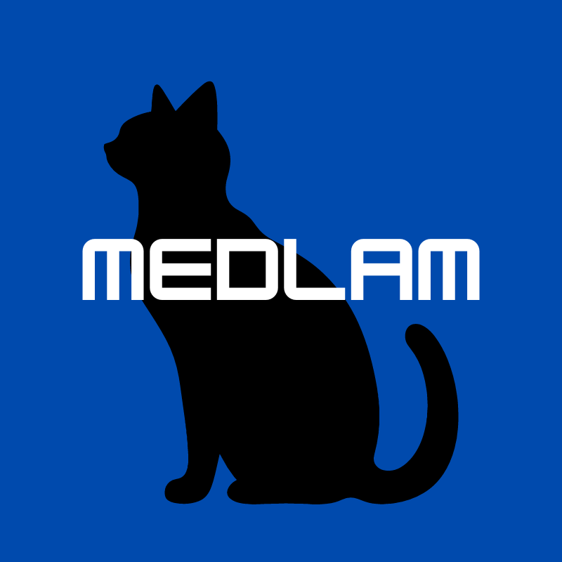 Medlam Enterprises